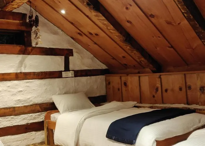 Parvatis Lap Luxury Hostel & Camps Kasol